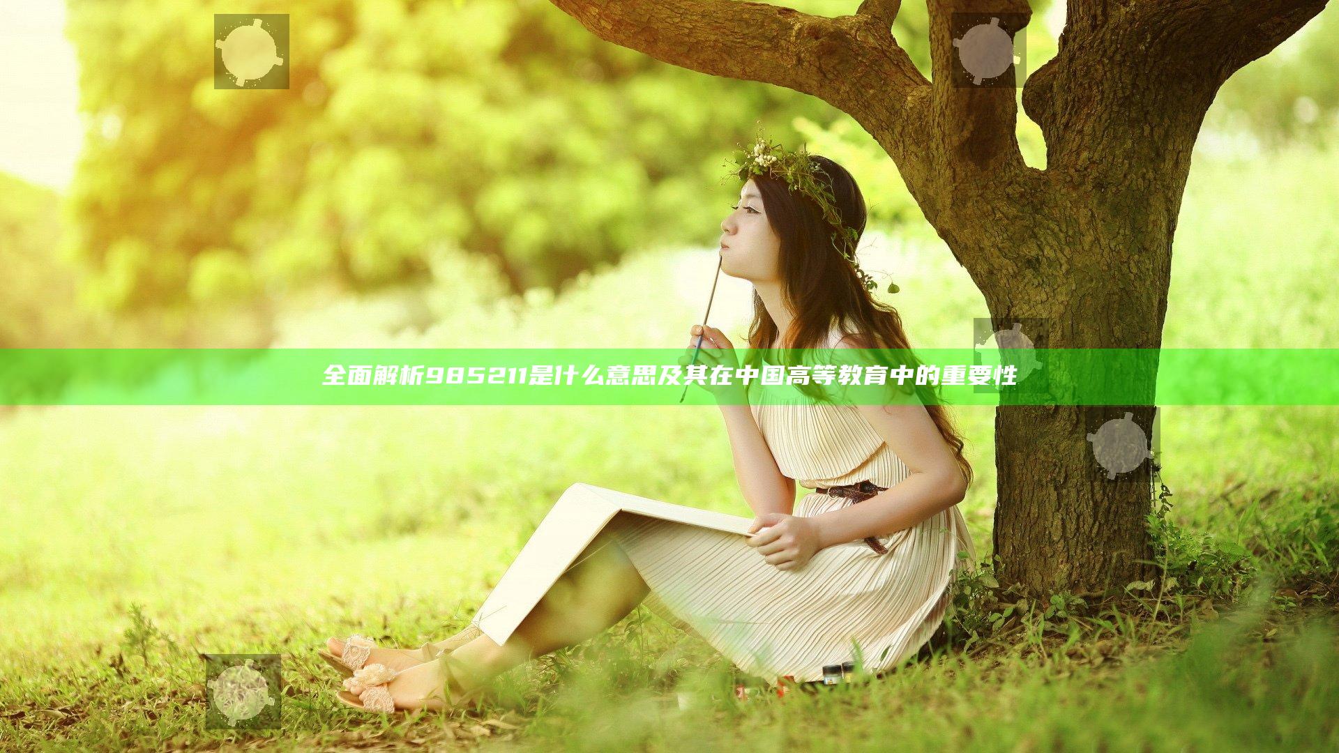 全面解析985 211是什么意思及其在中国高等教育中的重要性